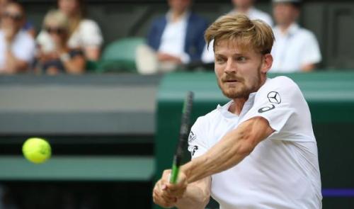 Wimbledon profite à David Goffin !