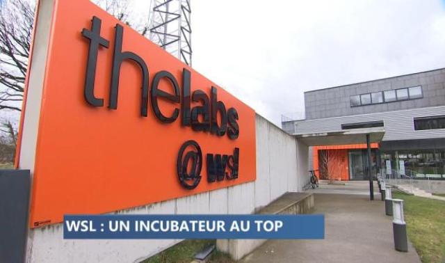 WSL parmi les incubateurs les plus performants au monde