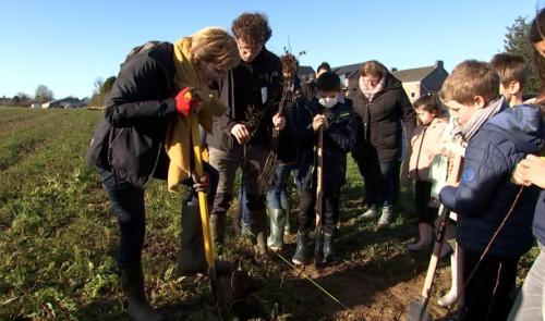 Yes, we plant! : Une haie pour le Pedibus à Amay