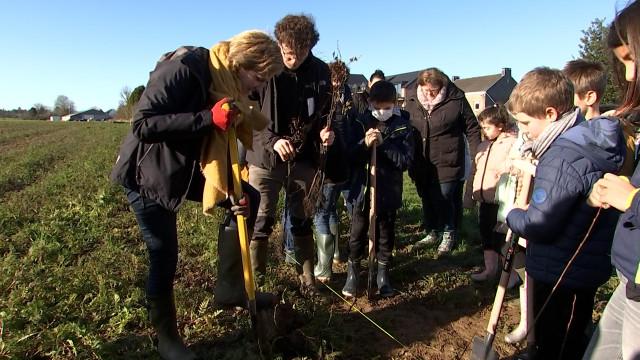 Yes, we plant! : Une haie pour le Pedibus à Amay