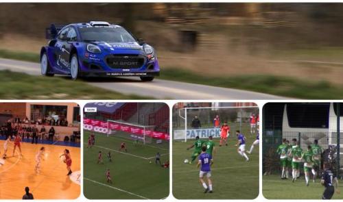 Zapping sports : une bête de course à Hannut