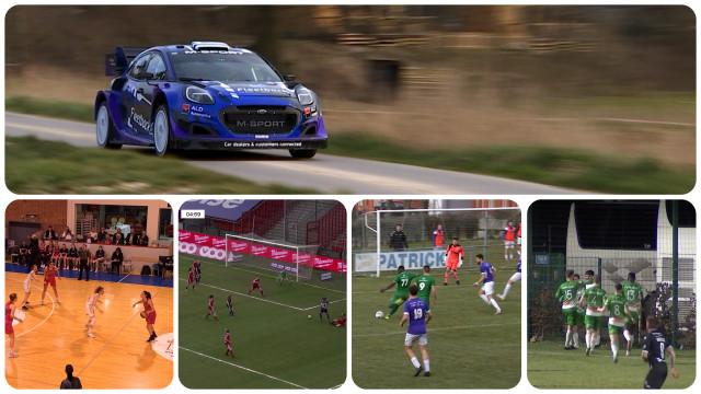 Zapping sports : une bête de course à Hannut
