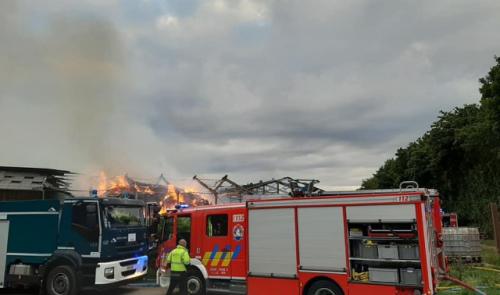 Villers-le-Bouillet : une centaine de bêtes périssent dans un incendie
