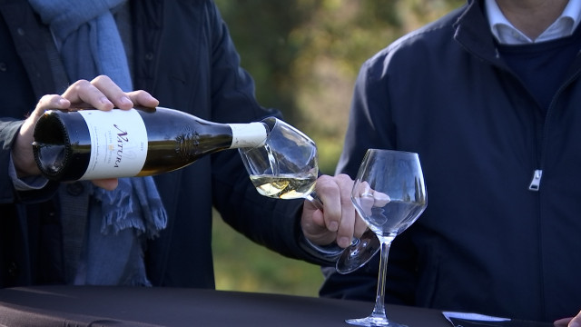 VivArdent, de nouveaux vignobles à Sprimont