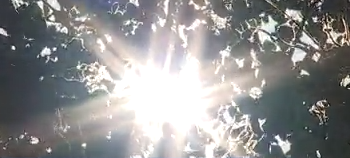 Météo : temps variable, jusqu'à 22 °C ce mardi, averses possibles au sud ce soir