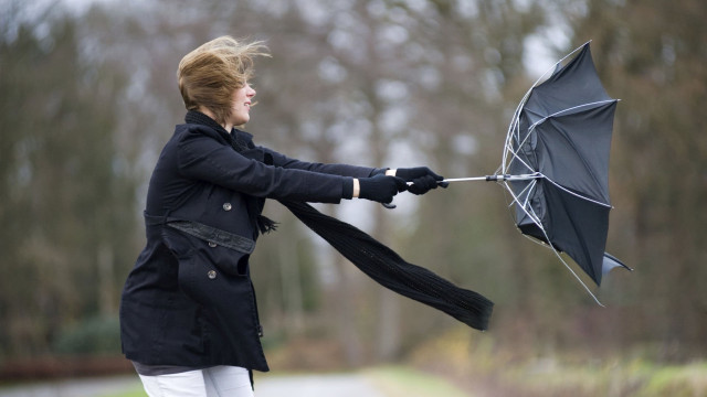 Fortes rafales de vent attendues ce jeudi. Les communes prennent des mesures