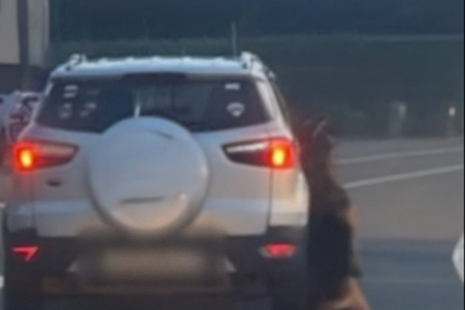 Chien traîné par une voiture : l'affaire est classée sans suite