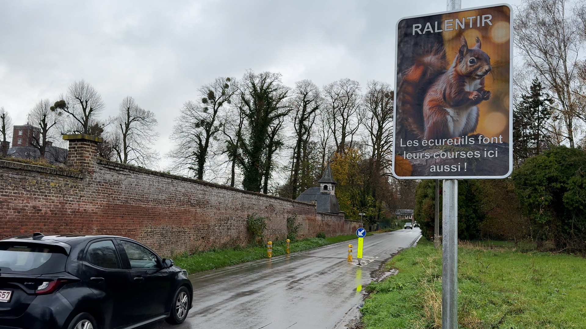 Grâce-Hollogne : des panneaux pour protéger les écureuils