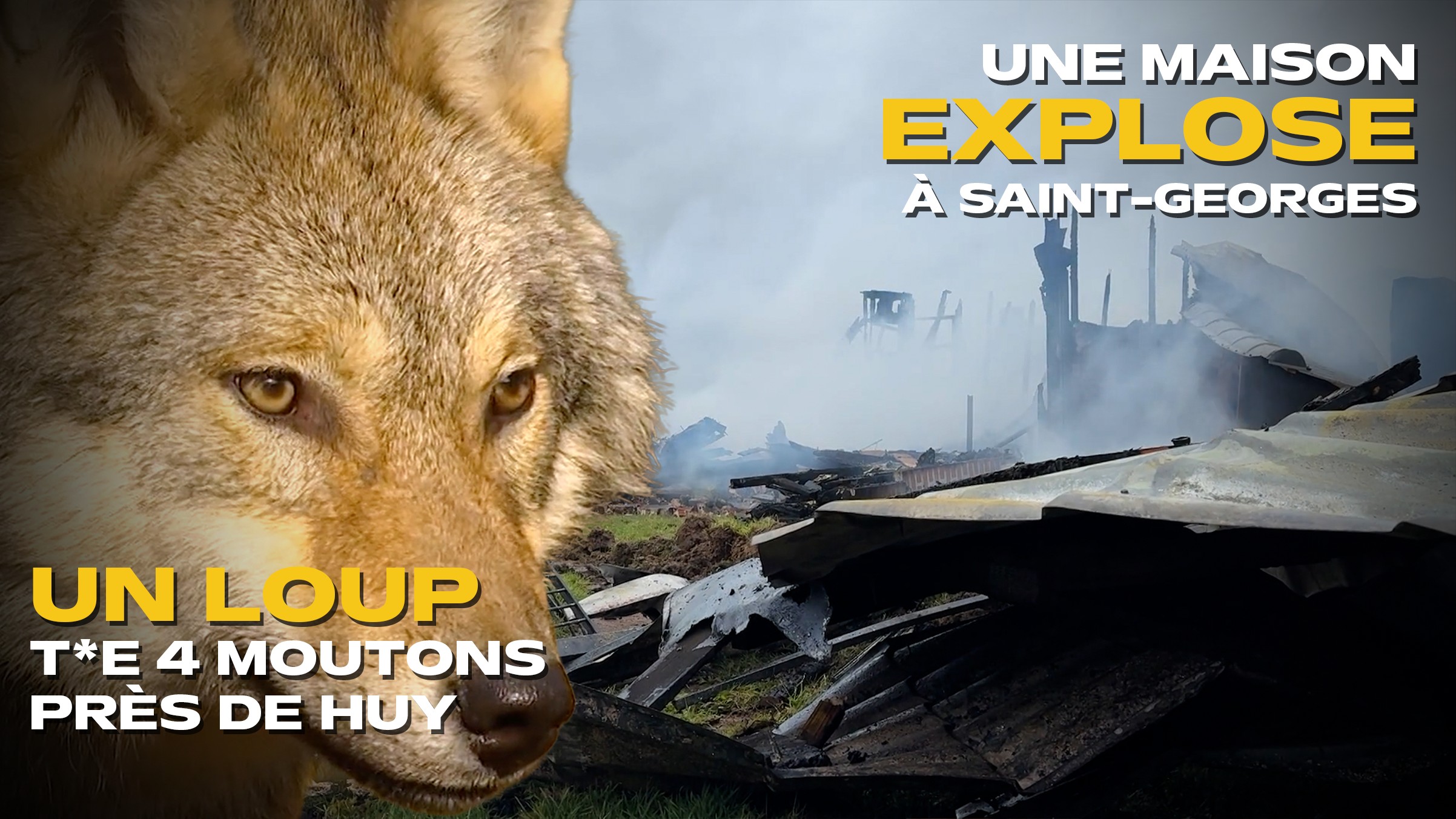 Les actus de la semaine en province de Liège