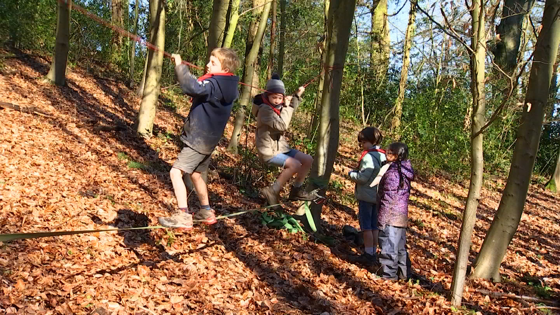 Sorry! Image not available at this time