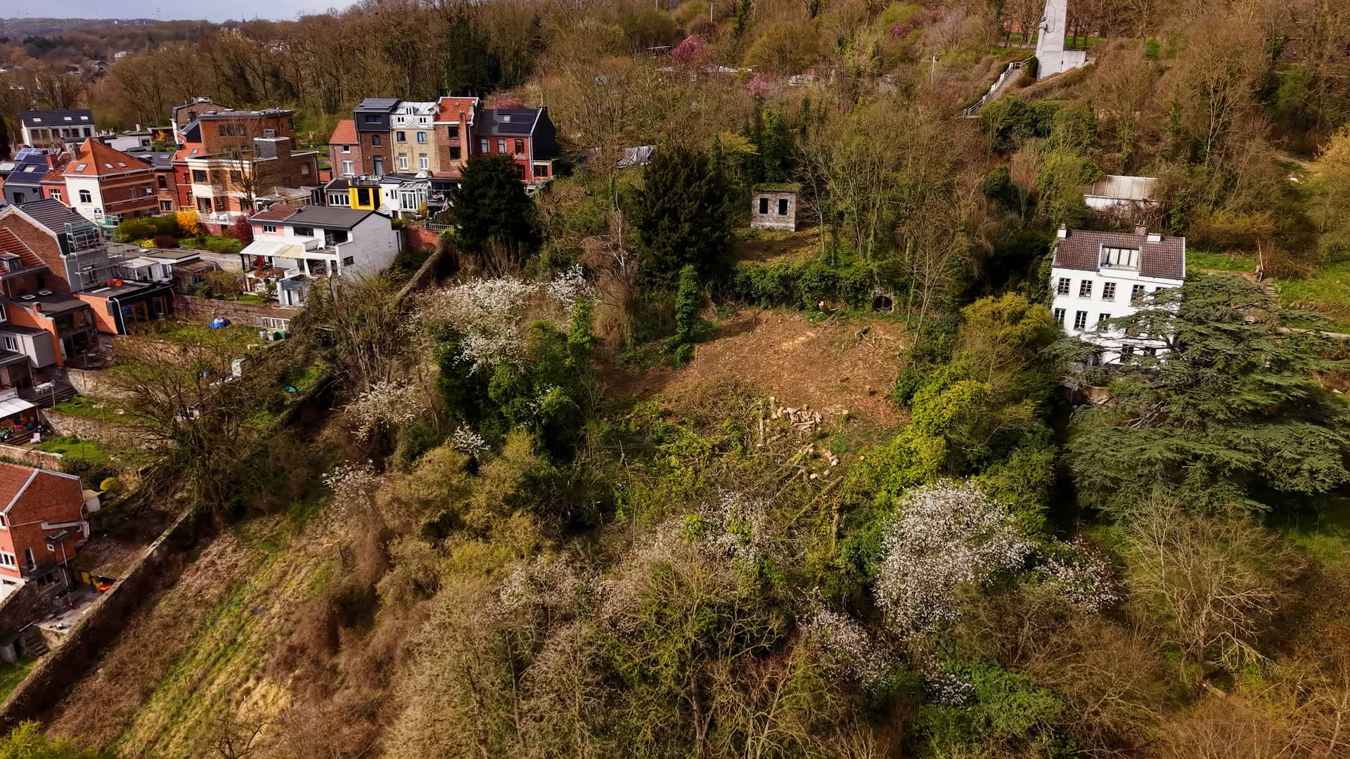 Sorry! Image not available at this time