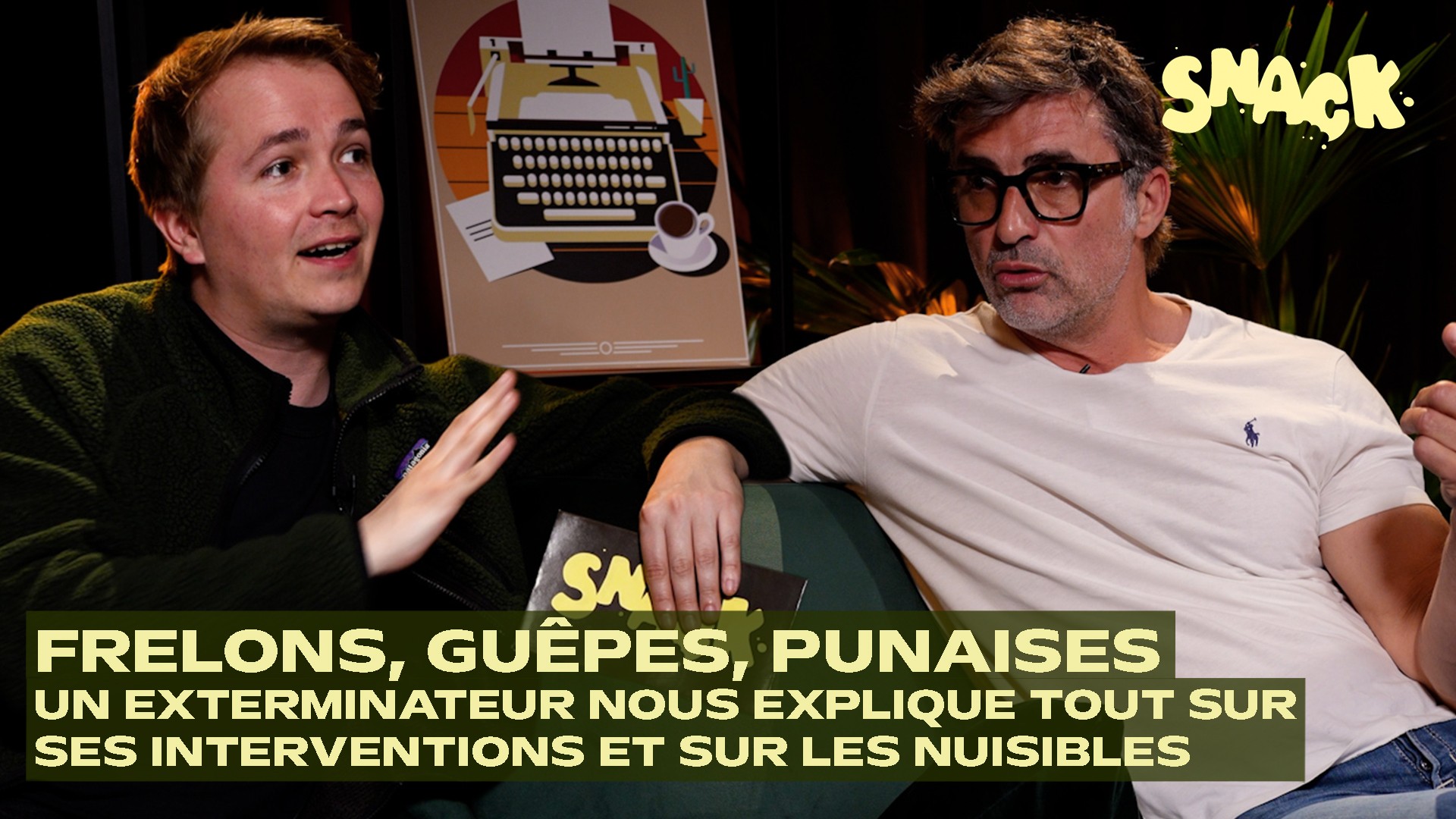 Snack -  Frelons, guêpes, rats, punaises de lit : un exterminateur nous explique comment s’en débarrasser !