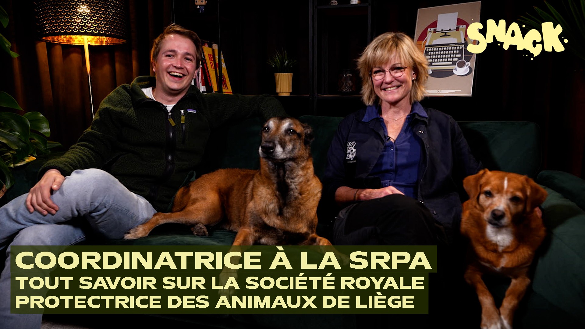 Snack - 165 abandons d'animaux par jour en Belgique : la SRPA de Liège nous explique la réalité des refuges