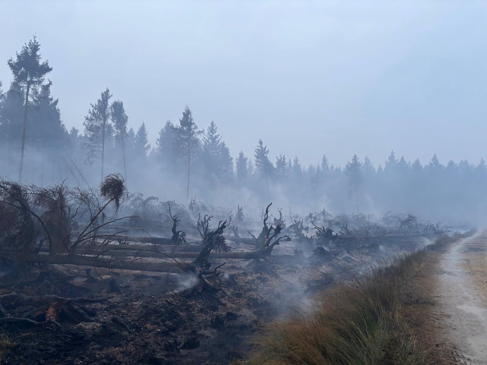Fagnes : la situation en début de 6è jour de combat contre les flammes