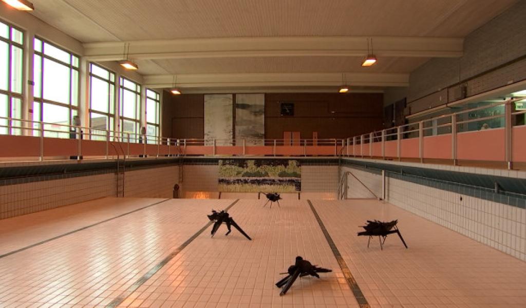 31 artistes contemporains font revivre la piscine de Hannut