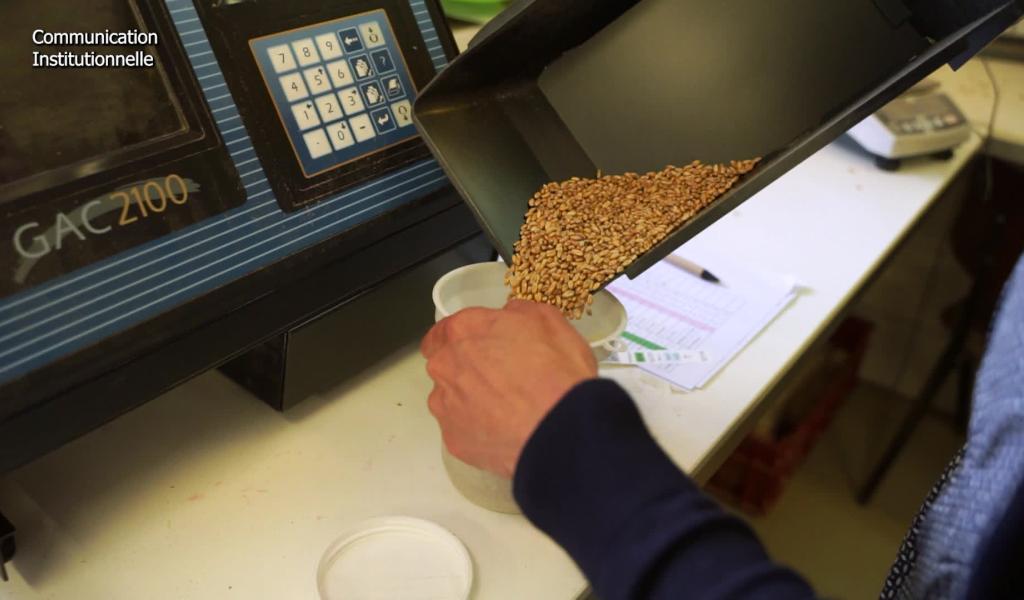 Les secrets de la culture des sols en Province de Liège