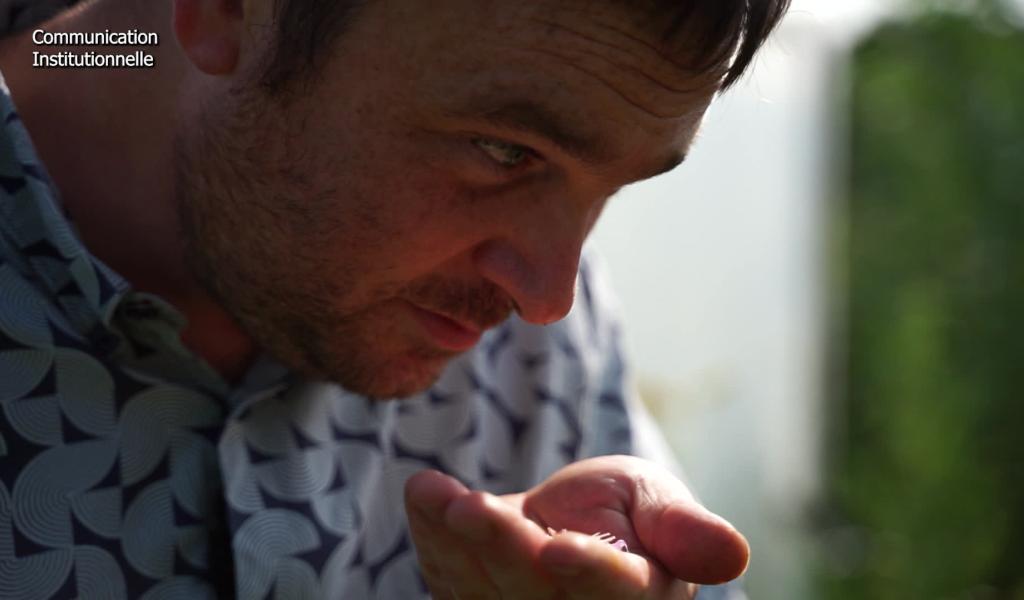 L'art de la table : De la terre à l'assiette chez Magneùs d'Pèlotes