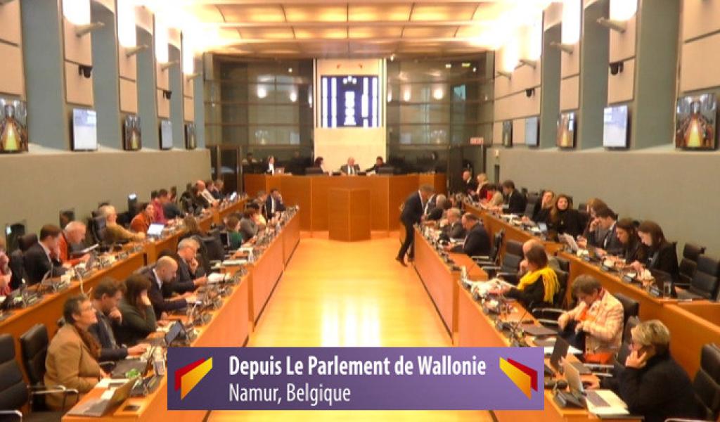 Questions parlementaires de la Région wallonne