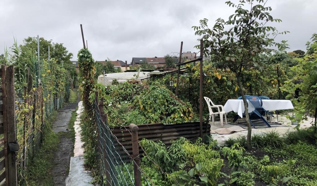 Journée du Patrimoine : le plus grand potager communautaire de Wallonie