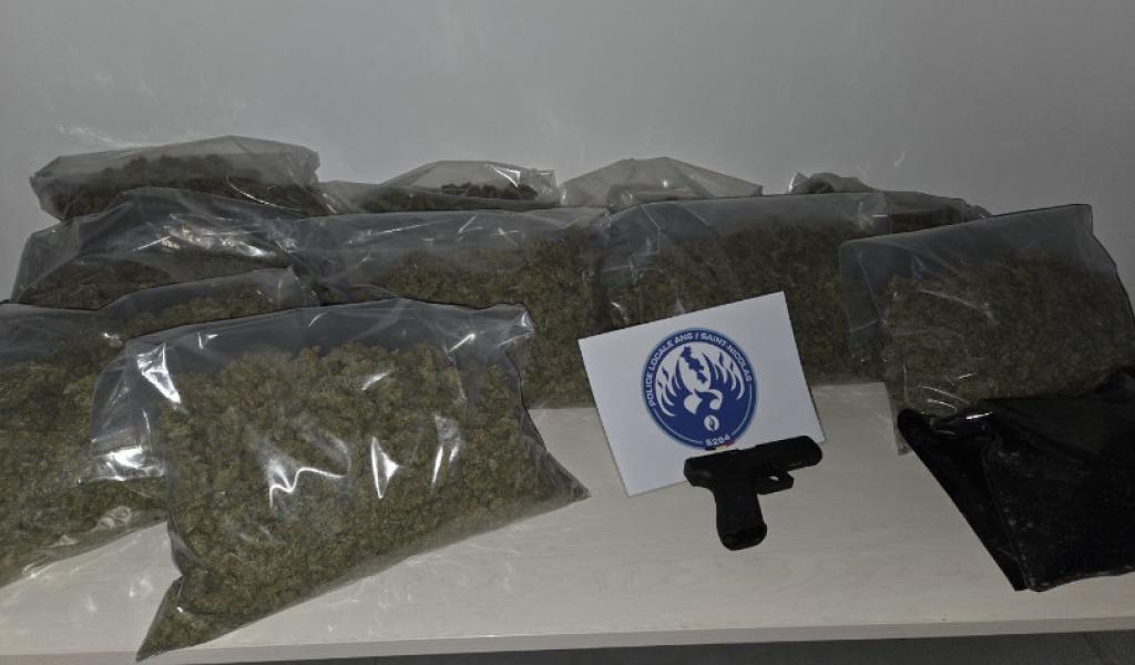 Tilleur : 2 interpellations et 200 plants de cannabis saisis