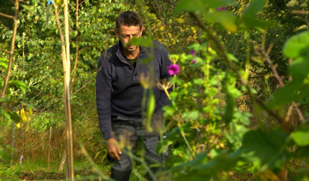 Festival des Jardins Forêts : 2 sites liégeois participent