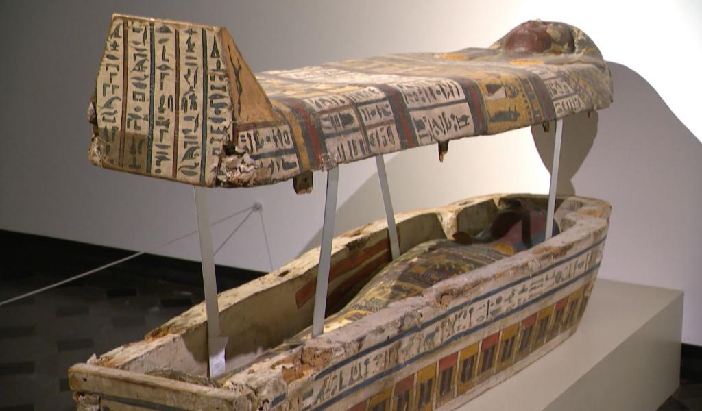 Curtius : les Trésors cachés de l'I.A.L.