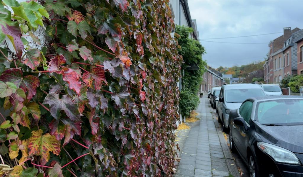 Huy encourage la végétalisation des façades