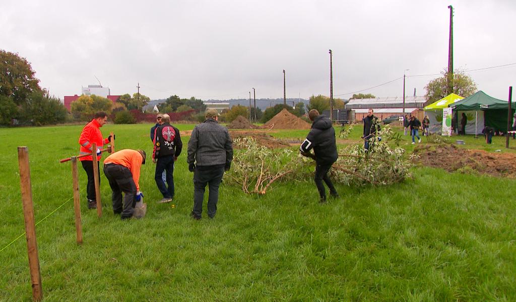 Le premier Labyrinthe nourricier de Belgique voit le jour à Herstal