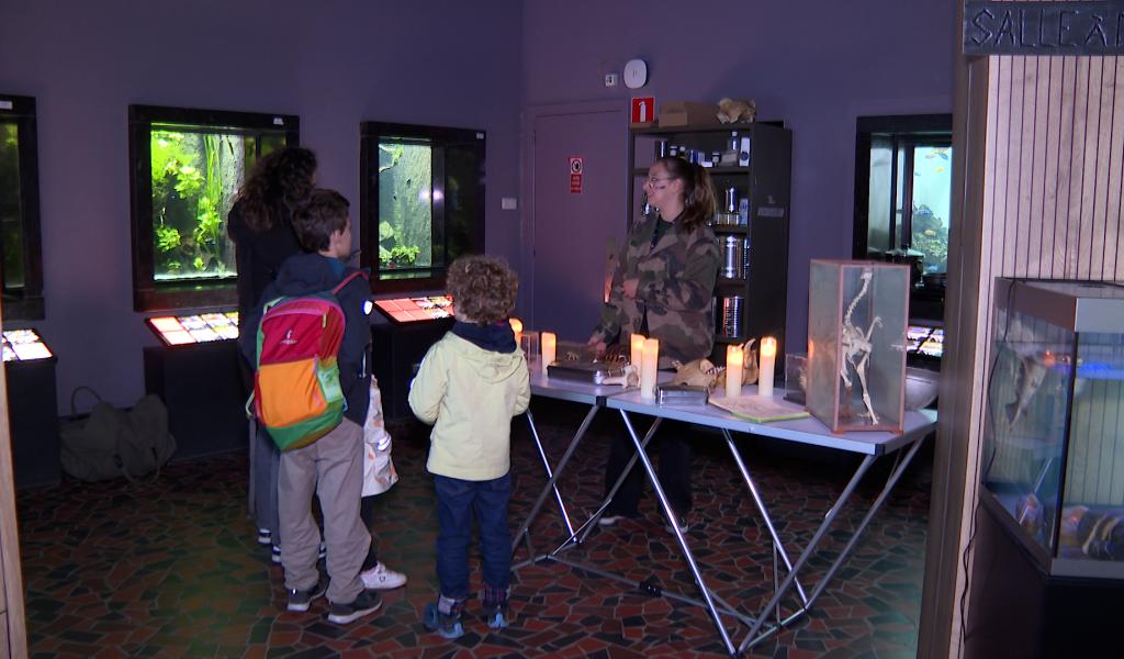 Halloween à l'aquarium de Liège