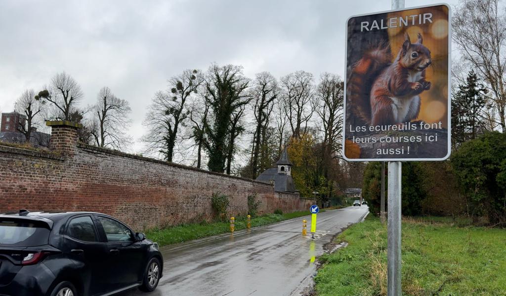 Grâce-Hollogne : des panneaux pour protéger les écureuils