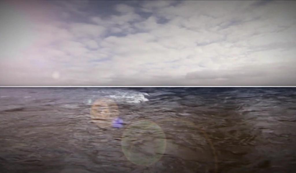 Rat des villes, rat des champs