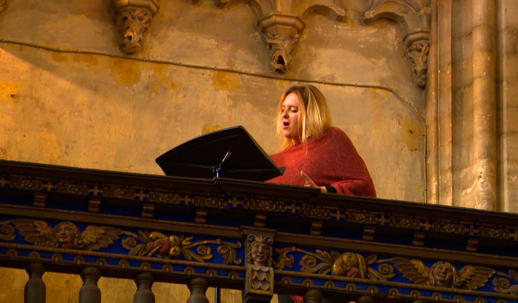 Festival d'orgue : concert exceptionnel de Noël