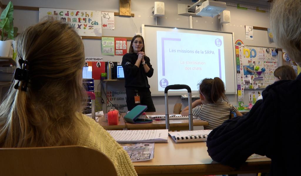 Des élèves de Couthuin organisent une récolte pour les animaux