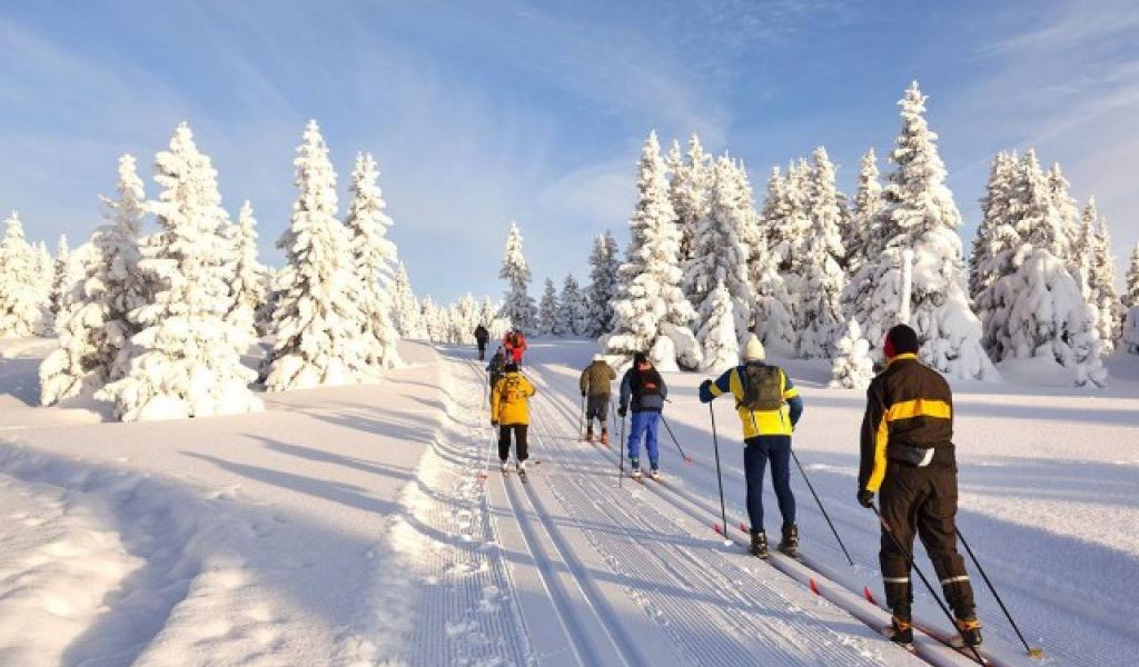 Neige : ski alpin, ski de fond, luge... les pistes sont ouvertes !