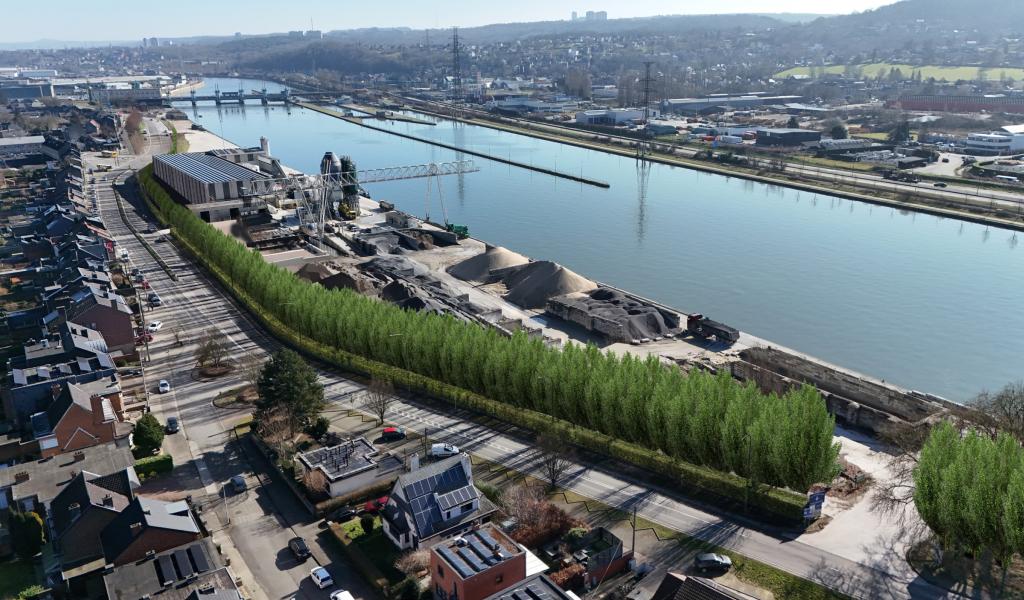 Flémalle : les peupliers du port vont être abattus