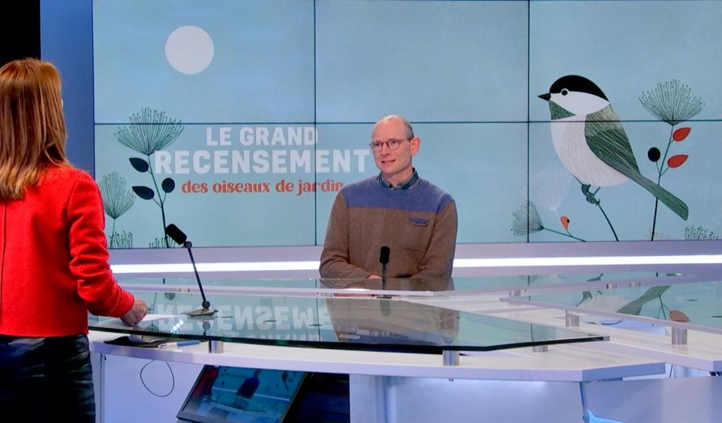 Comptez les oiseaux dans votre jardin avec Natagora