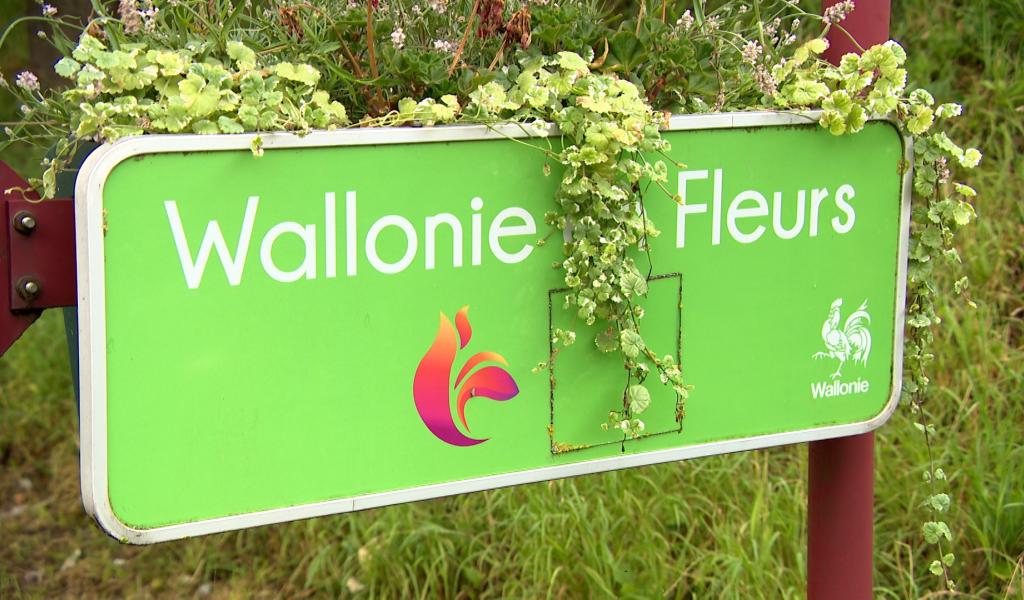 Label Wallonie en Fleurs 2025 : 4 communes liégeoises récompensées
