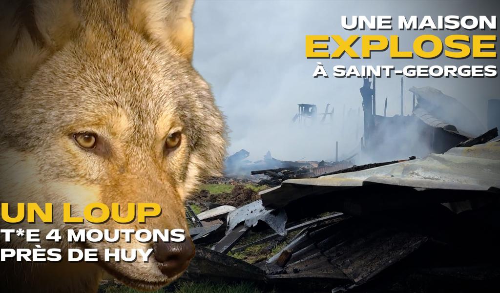 Les actus de la semaine en province de Liège