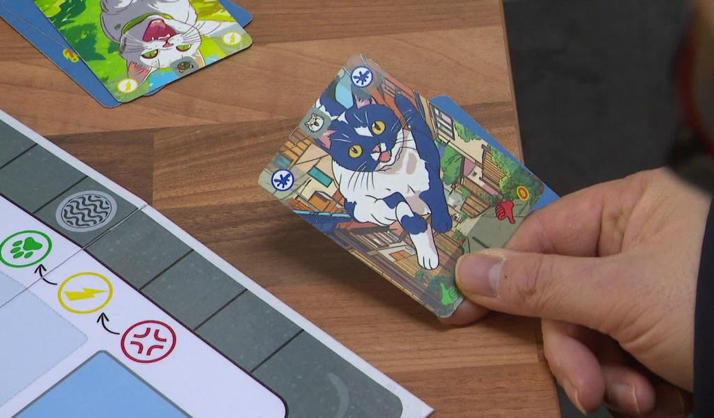 Premier Festival Liégeois du Jeu de Société ces 7 et 8 mars 2026