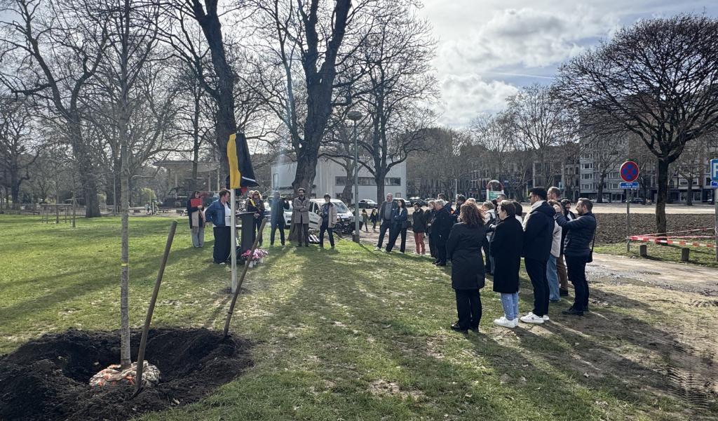 Inauguration d'un arbre pour le don d'organes