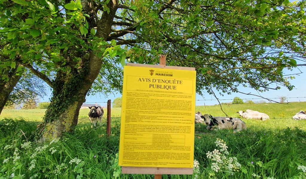 Huy-Waremme : révision du plan de secteur et poursuite d'activités pour Belmagri