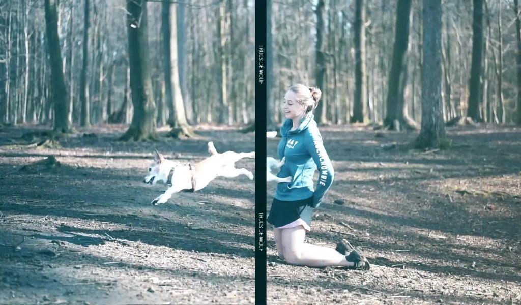 Trucs de wouf - apprentissage du "pas bouger"