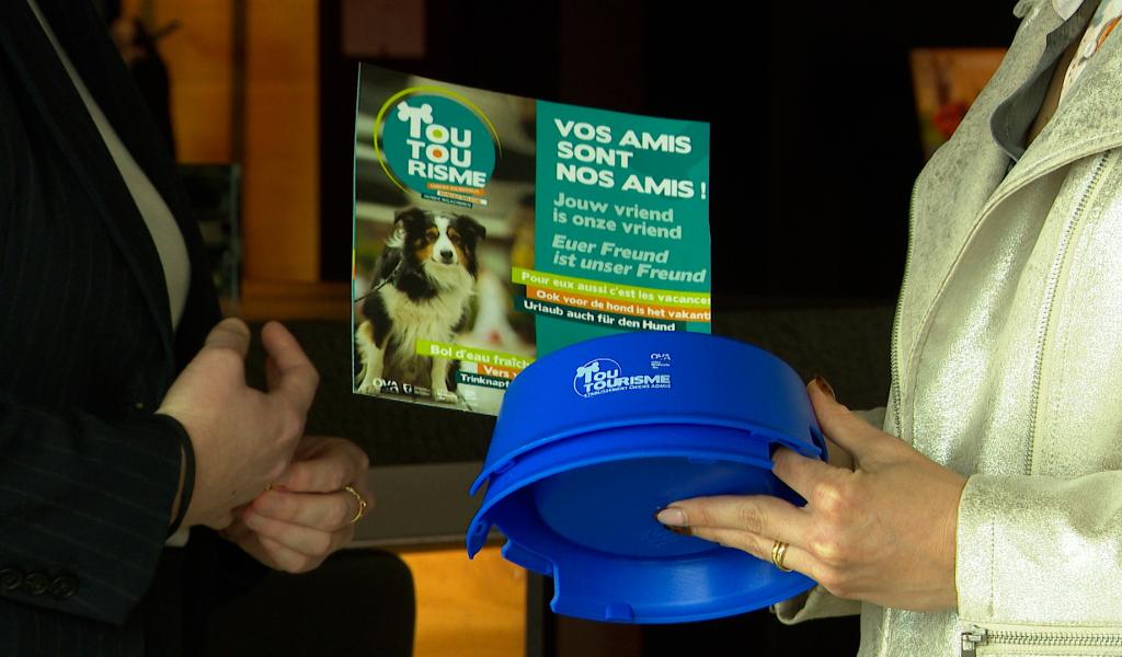 Toutourisme: un label chiens admis