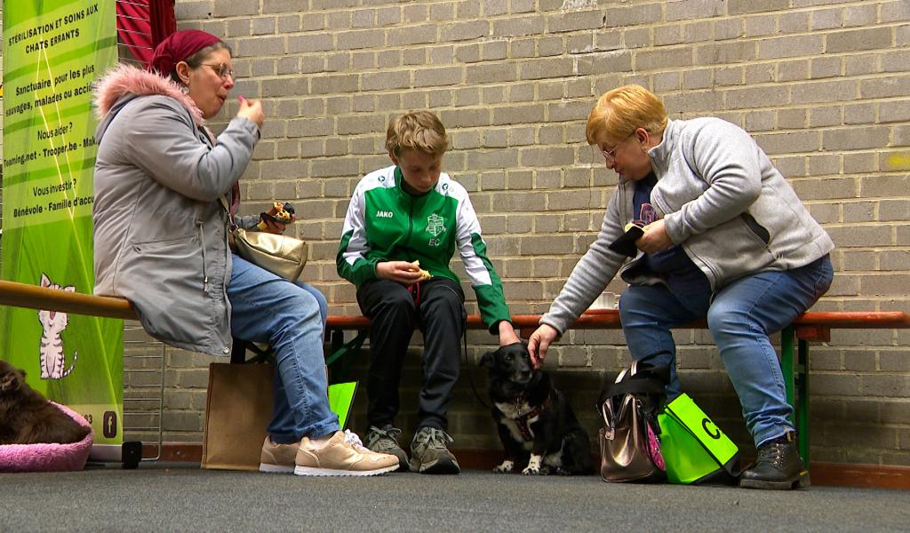 À Engis, un salon pour sensibiliser au bien-être animal