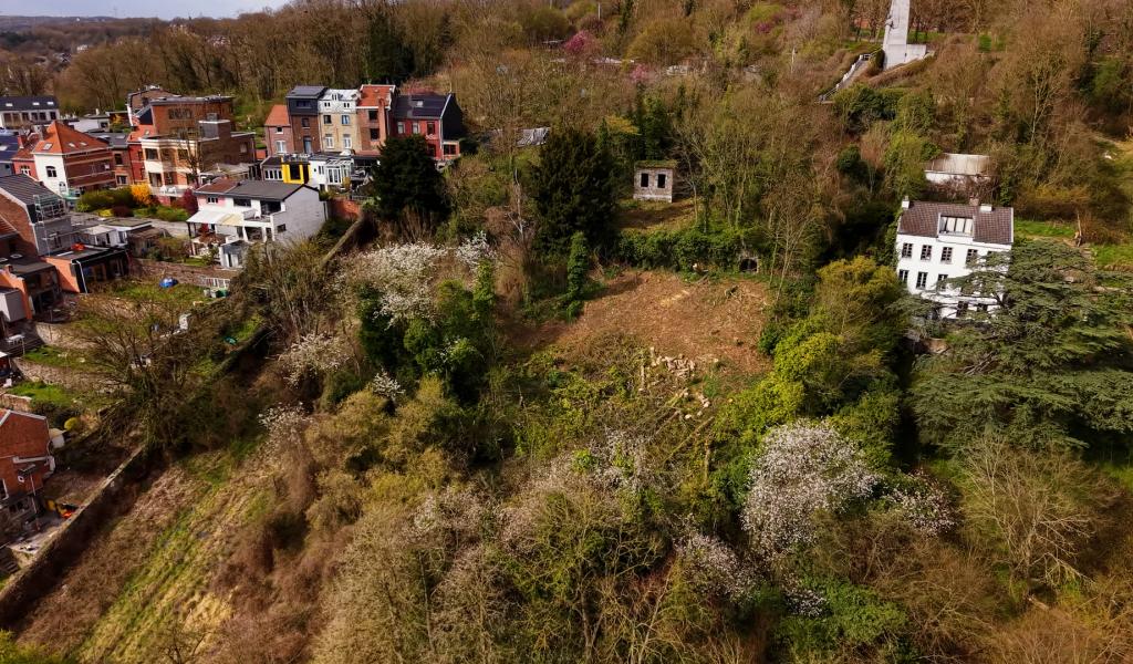 Côteaux de la Citadelle : pas d'élagage sans autorisation même pour l'Evêché