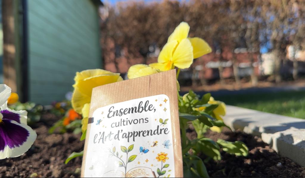 Noouvelle pédagogie à l'école communale de Lonchamps