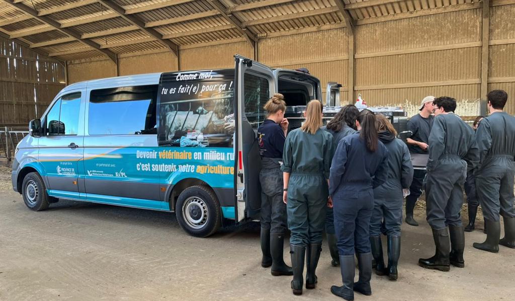 ULiège : les étudiants vétérinaires avec une clinique mobile en province de Luxembourg
