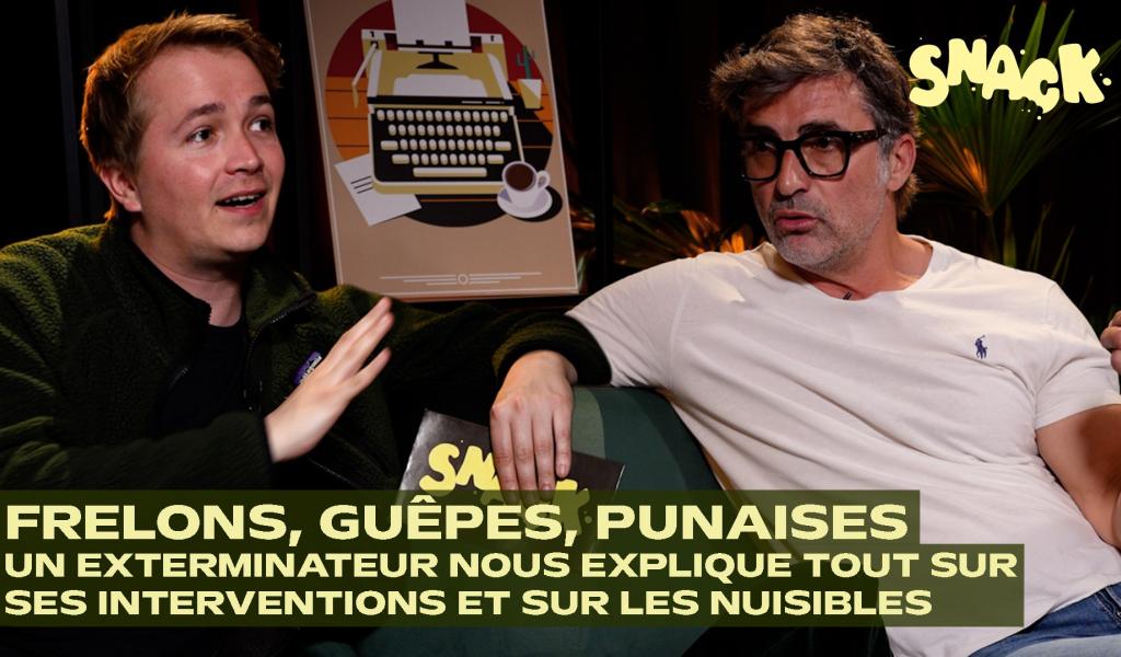 Snack -  Frelons, guêpes, rats, punaises de lit : un exterminateur nous explique comment s’en débarrasser !
