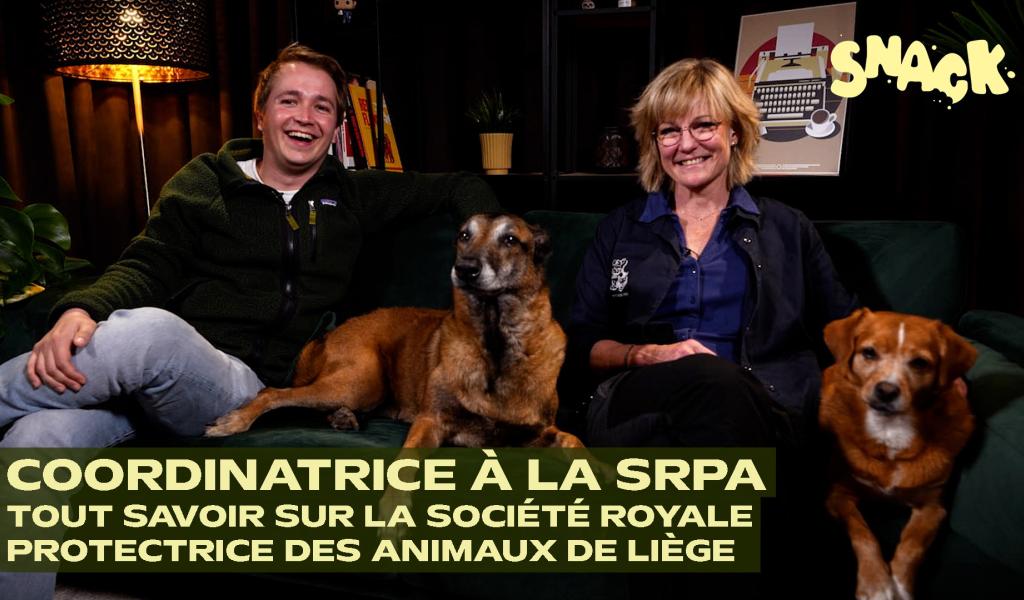 Snack - 165 abandons d'animaux par jour en Belgique : la SRPA de Liège nous explique la réalité des refuges