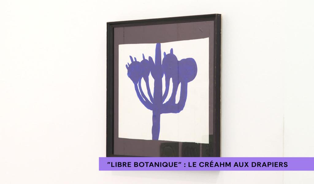 "Libre Botanique" le Creahm expose aux Drapiers